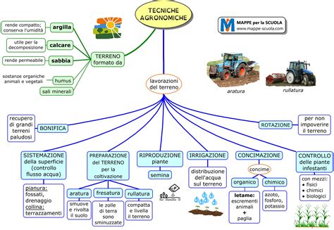 Mappa concettuale che collega il termine 