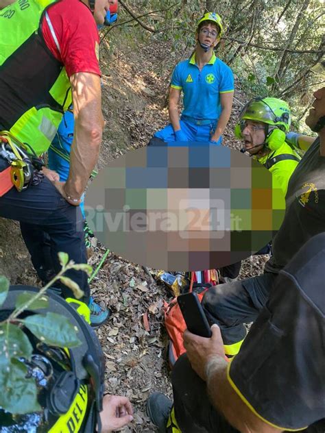 Cane anziano comodamente seduto in un passeggino durante una passeggiata