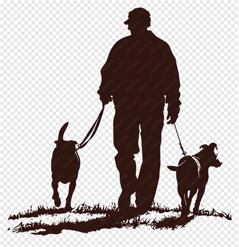 Cani in passeggino e cani che camminano insieme, un equilibrio