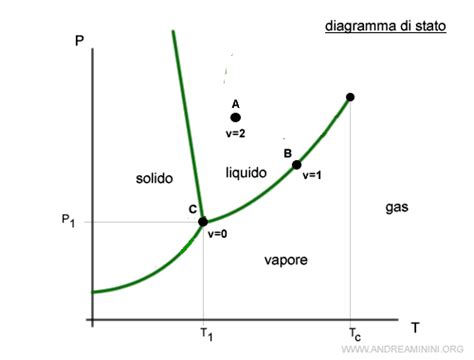 Diagramma delle fasi dell'impianto embrionale