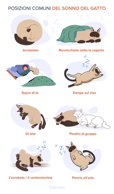 Schema delle diverse posizioni del sonno e dei punti di pressione