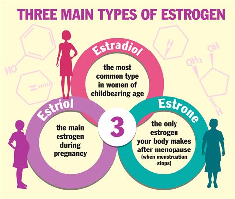 Factors influencing estradiol levels