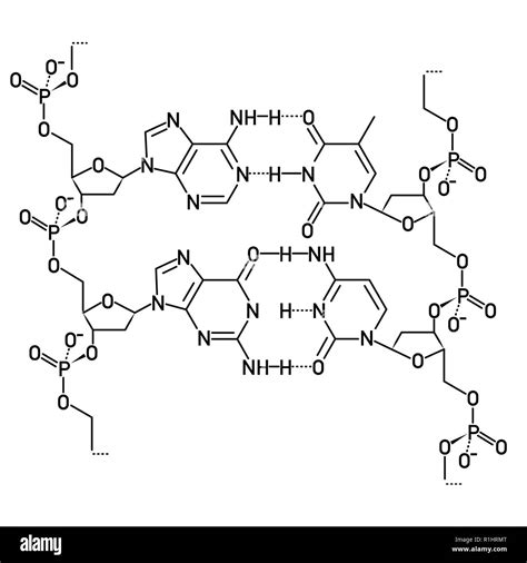 Struttura della molecola di Beta hCG
