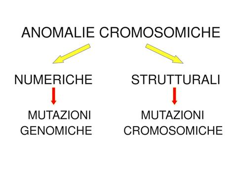 Schema che illustra le anomalie cromosomiche e geniche