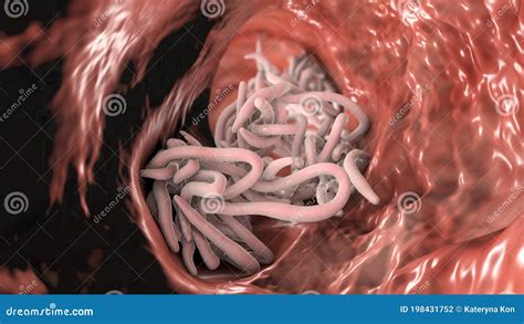 Microscopio con parassiti intestinali