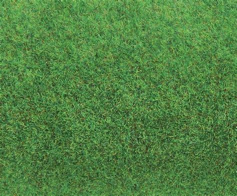 Tappeto erboso verde e rigoglioso a Bolingbrook
