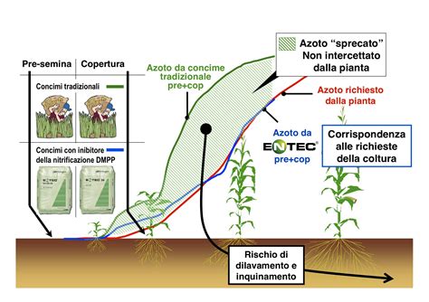 Grafico che illustra gli obiettivi della concimazione del prato