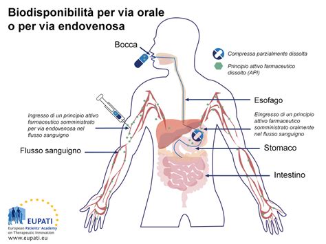 Schema comparativo assorbimento farmaci per via orale e rettale