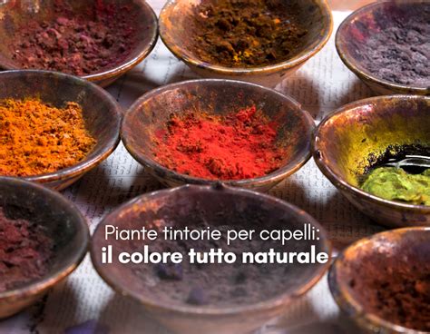 Tavolozza di piante tintorie medievali