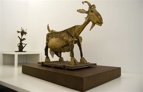 L'opera La Capra di Picasso esposta in un contesto museale