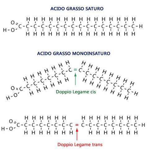 Struttura chimica degli acidi grassi polinsaturi a catena lunga (LCP)