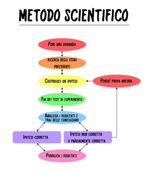 schema del metodo scientifico che mostra il ciclo: osservazione, ipotesi, esperimento, teoria