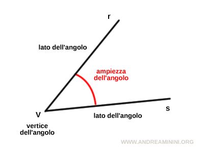 Disposizione degli angoli in una sezione lattanti
