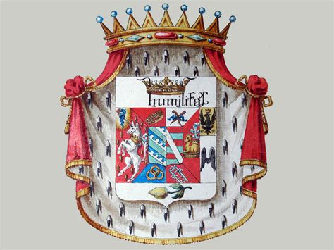 Stemma della famiglia Ciuccio