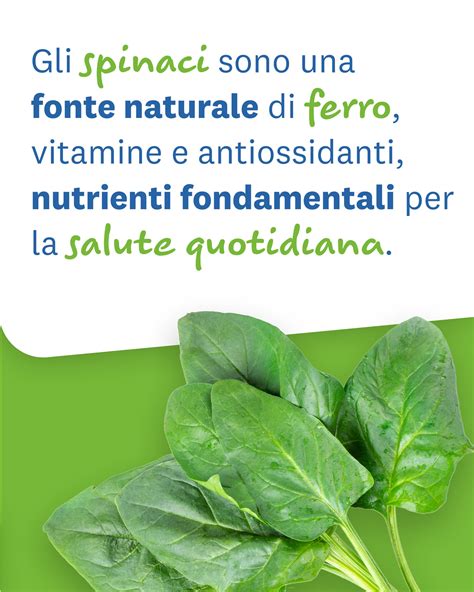 Nutrienti degli spinaci