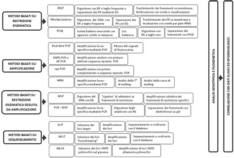 diagramma comparativo dei metodi di trattamento per il granuloma ombelicale