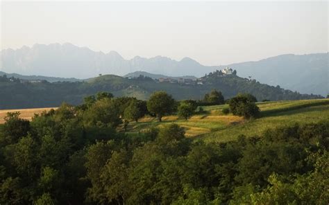 veduta panoramica dei Colli Albani