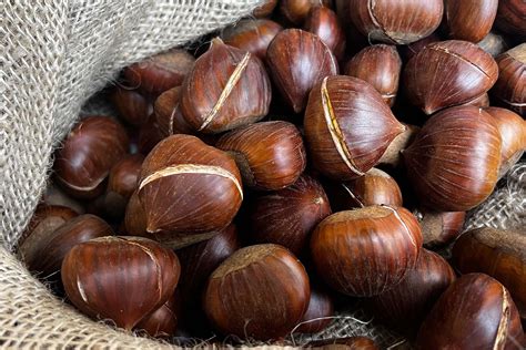 Castagne arrostite: un alimento nutriente e versatile