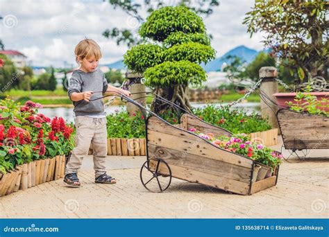 Bambino che spinge il Panda 3 in 1 come carrello