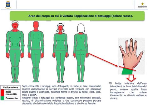 infografica che illustra le zone del corpo del neonato dove applicare la crema protettiva