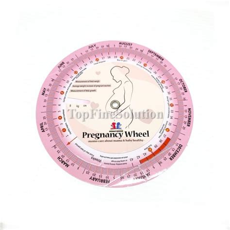Obstetric wheel illustration