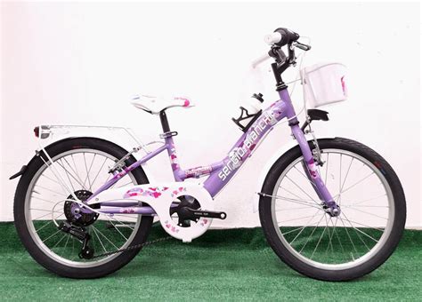 Bambina su bici 20 pollici con accessori