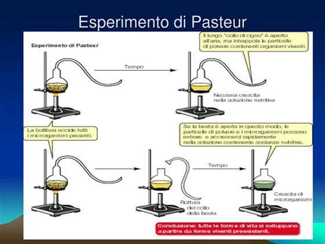 Rappresentazione storica dell'esperimento di Pasteur