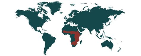 Mappa dell'areale di distribuzione del leone africano