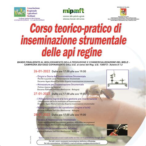 Attrezzatura per Inseminazione Strumentale di api regine