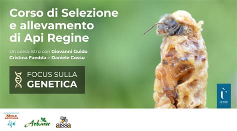 Grafico dei criteri di selezione delle api regine