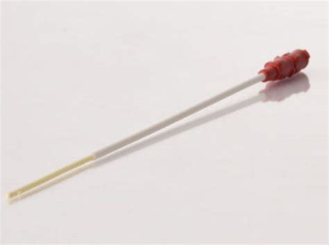 Illustrazione del catetere utilizzato per il trasferimento embrionale e l'utero, con una vescica piena sullo sfondo