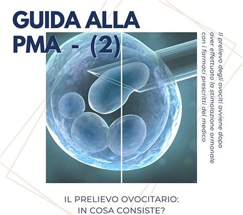 Infografica Gravidanza Naturale Dopo PMA