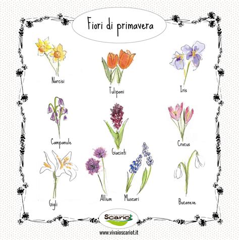 Fiori primaverili con profumi