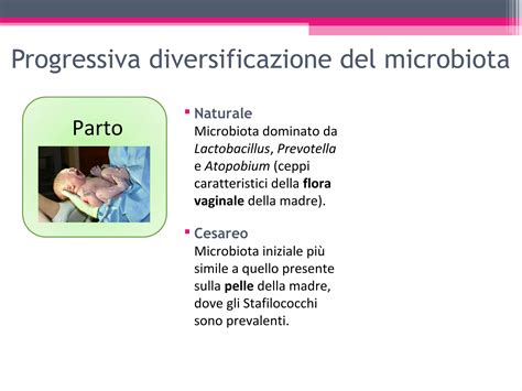 Confronto colonizzazione microbiota: parto naturale vs cesareo