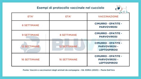 Diagramma del protocollo vaccinale eterologo (Vaxzevria + mRNA)