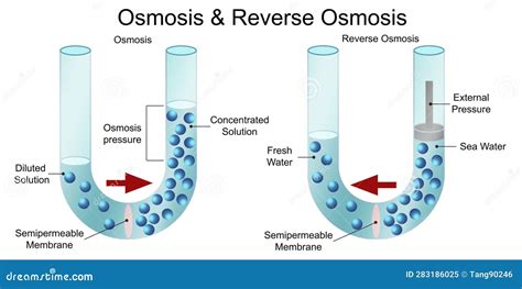 Diagramma osmosi inversa