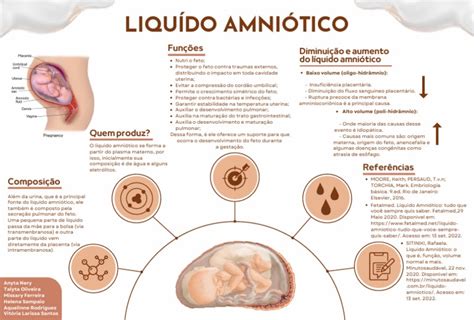 Liquido amniotico e feto