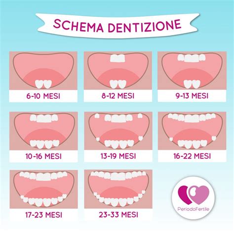 bambino con dentini che spuntano e pannolino