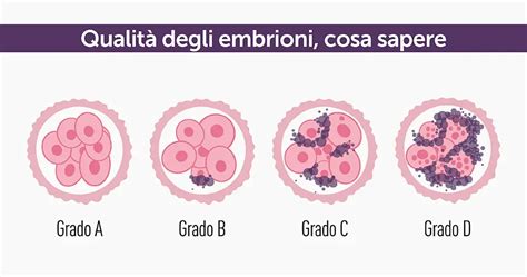 Infografica che illustra i fattori che peggiorano la qualità degli ovociti