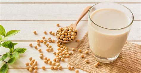Latte di soia in polvere fatto in casa