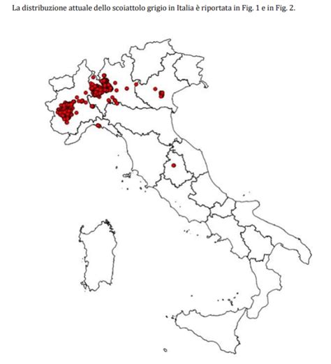 Mappa della diffusione dello scoiattolo grigio in Italia