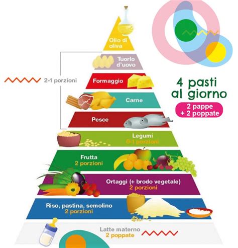 Schema piramide alimentare per bambini in svezzamento