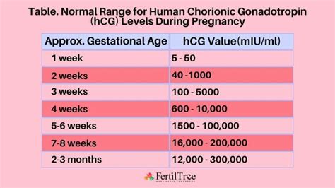 schema diminuzione beta-hCG post aborto