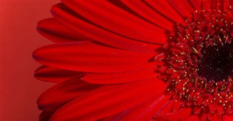 Significato del colore rosso nelle culture