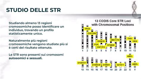 Rappresentazione delle microdelezioni cromosomiche