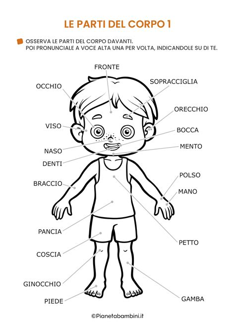 Bambino con un libro di filastrocche che impara le parti del corpo