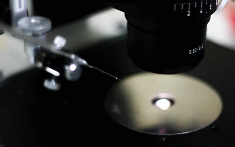 Microscopio con sistema di micromanipolazione per ICSI