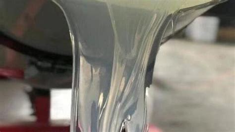 Tipi di paracapezzoli (silicone, caucciù, argento)