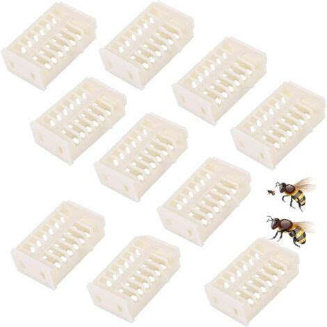 Api regine in apposite gabbie per l'inseminazione