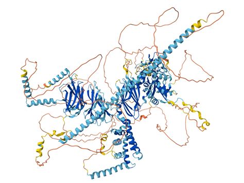 Struttura 3D dell'Alfa-fetoproteina